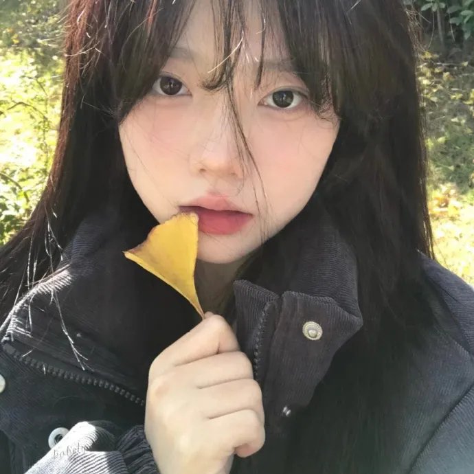 仙女特攻队